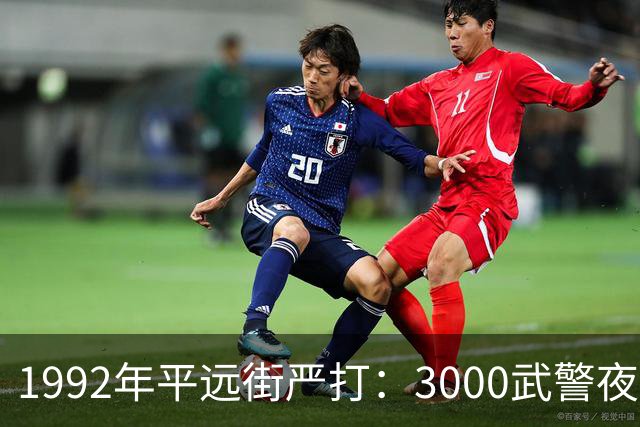 1992年平远街严打：3000武警夜袭，81天彻底捣毁边境“独立王国”